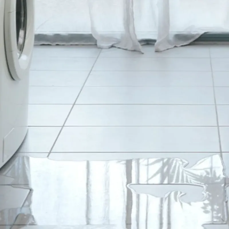 Appliance Leak Cleanup in Johnston, SC