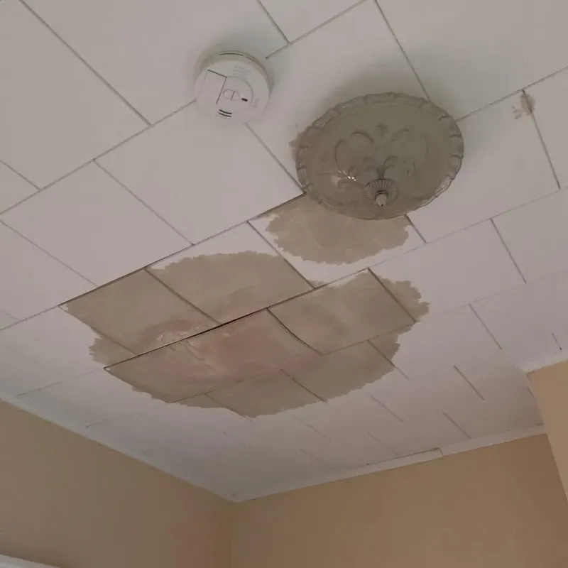 Ceiling Water Damage Repair in Johnston, SC
