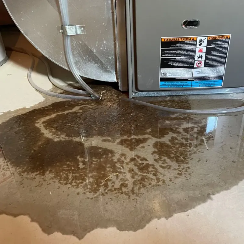 Pipe Burst and Leak Restoration in Johnston, SC