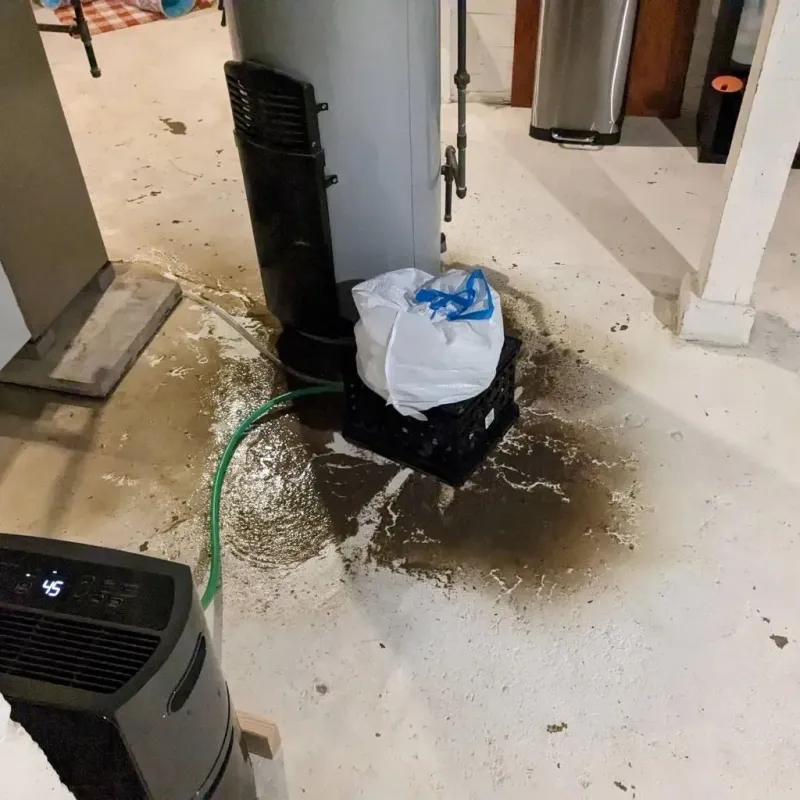 Sewage Backup Cleanup Service in Johnston, SC